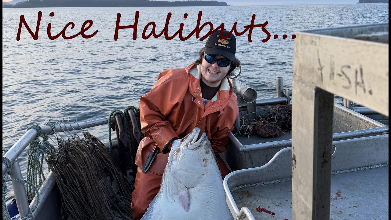 14-Hour Halibut Longlining Day! |⚓ 2026 Alaska Season Begins