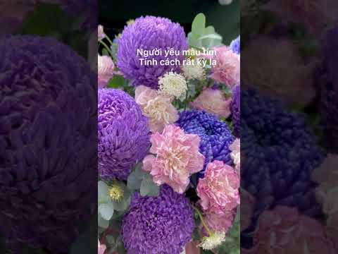 Video Mẫu Lẵng Hoa Mừng Khai Trương Cửa Hàng 2022-2023 Có Gì... - youtube