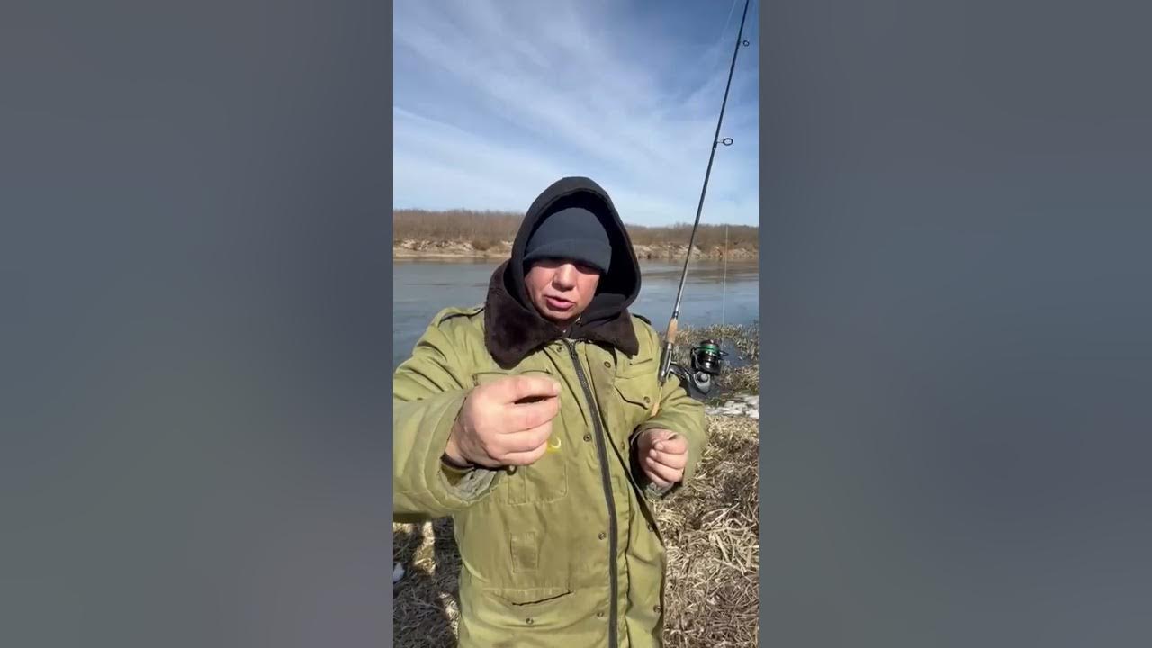 Борода микс опять ты опять с камерой. Ты опять уходишь на работу скажи честно у тебя там другой кот. Блоггер опять ты опять с камерой. Опять ты опять с камерой фото. Дорогая не шуми.