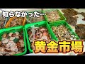 【北海道】こんな場所に市場が…。釣り人しか知らない『黄金市場』