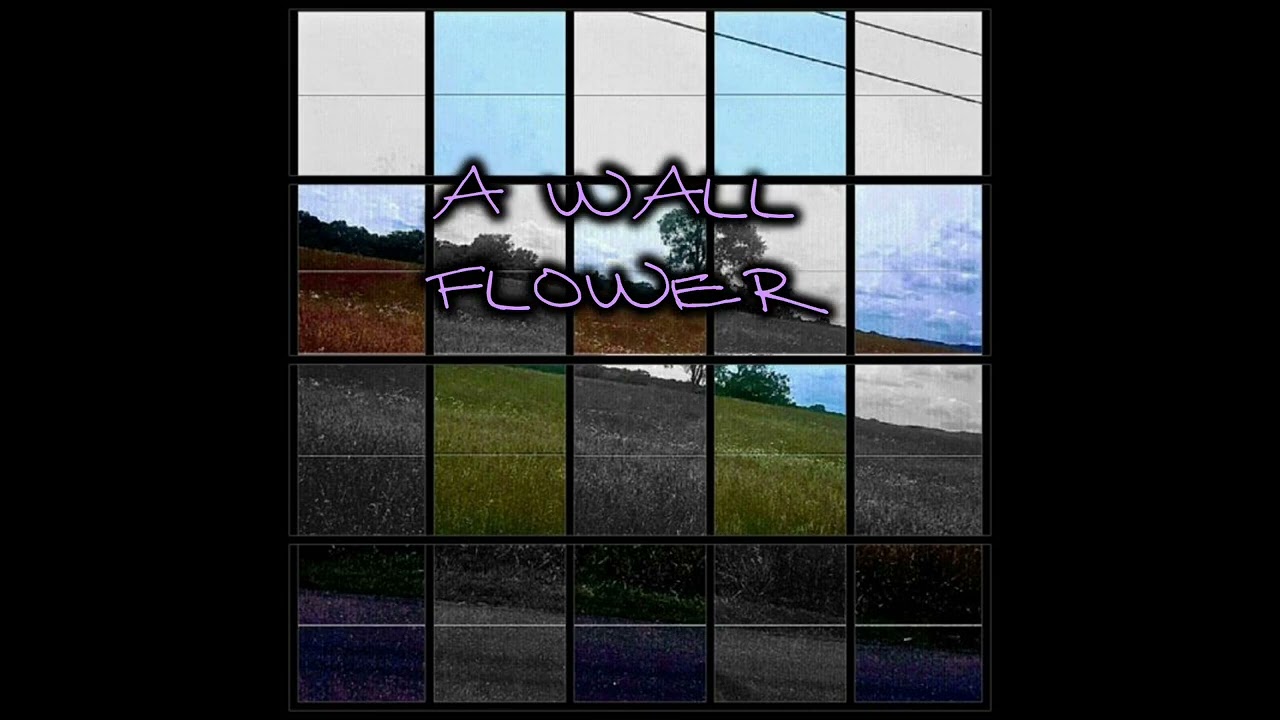 Watch Wall Flower (lyric video) on YouTube Watch Wall Flower (lyric video) on YouTube