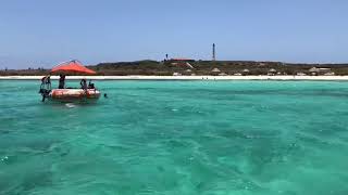 Rent Your Own Boat On Aruba Aqua Donut Boat Octopus Aruba