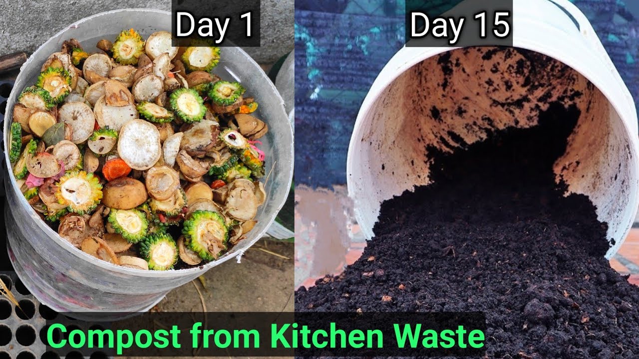 காய்கறி கழிவுகள் உரமாக மாற்றுவது எப்படி❓-How To Make Kitchen Waste Compost Easley At Home#compost#