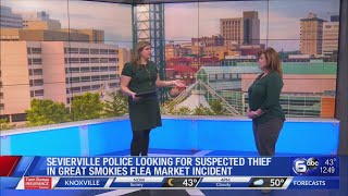 Sevierville Police looking for suspect in theft at Great Smokies Flea Market