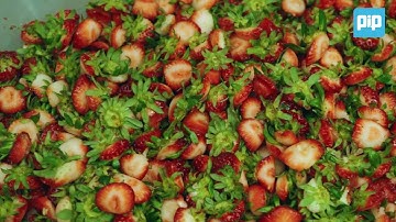 D-Blade: Decapping Strawberries - PIP Innovations