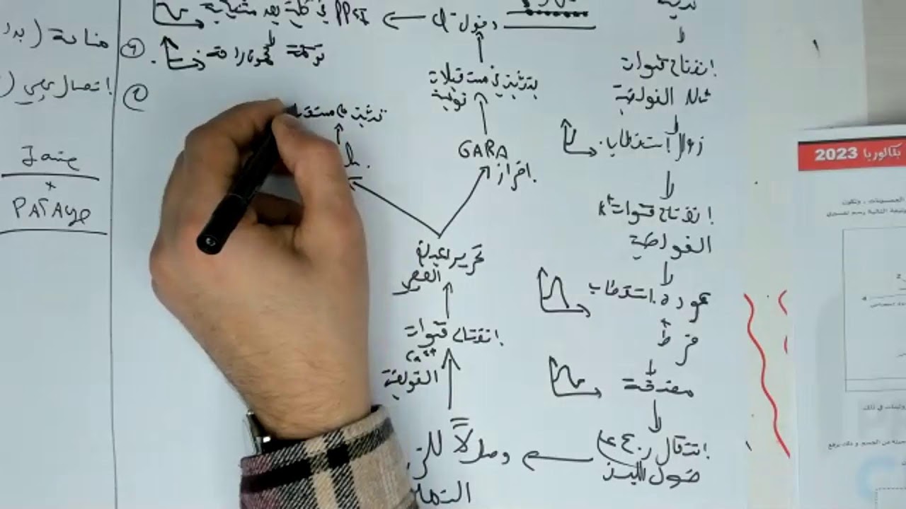 لايف المراجعة ليلة امتحان الفصل الثاني