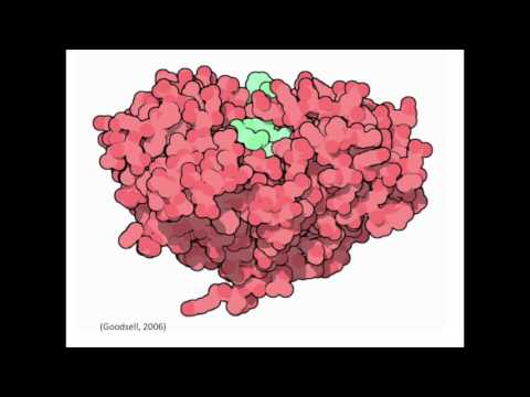 Video: BACE1 Inhibitoru Zāles Alcheimera Slimības Klīniskajos Pētījumos