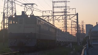 【豪快なジョイント音！】JR貨物 EF65 2067号機+コキ21B 新A21仕業[152レ] 川崎貨物行 八丁畷〜川崎新町間通過！[2024.05.04(土)]