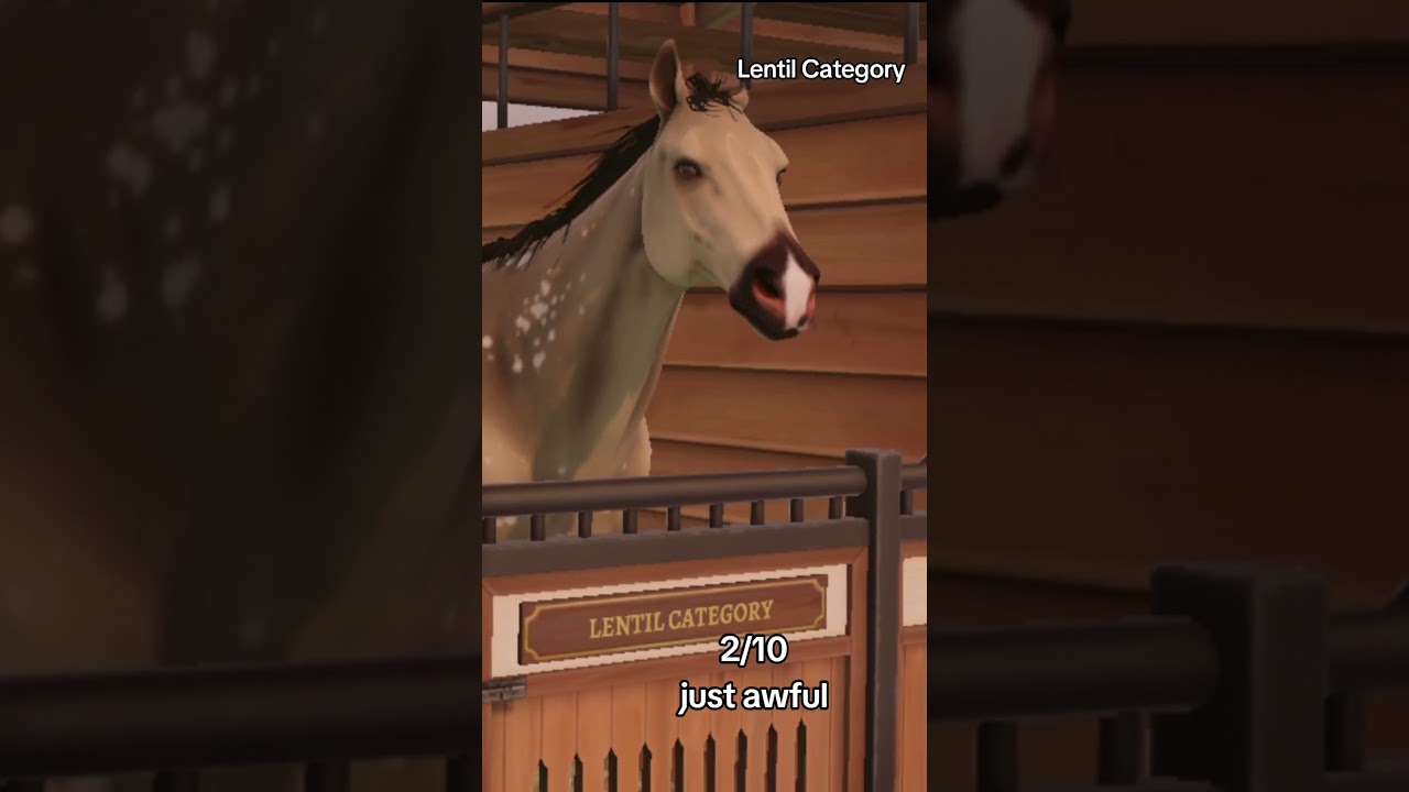 What are Lady’s Trousers anyway? 🤔  