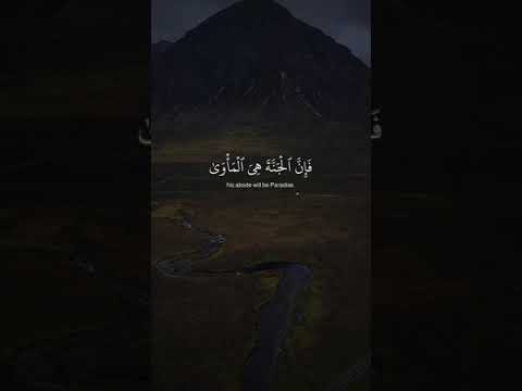 القرآن الكريم ماهر المعيقلي ستوريات حالة ريلز Quran Explore اكسبلور العراق السعودية Reels 