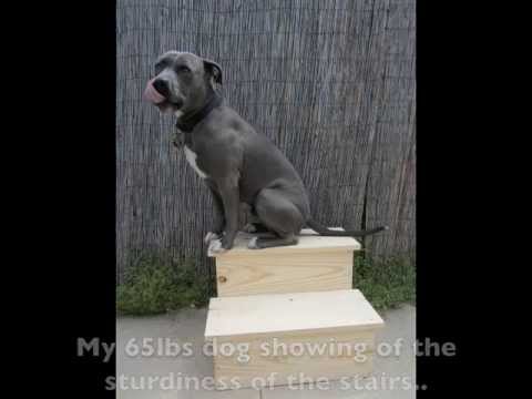 What are some highly rated pet stairs for dogs?