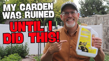 How I Got Rid of Voles in My Garden