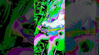 Watch Aarktica Matchless video