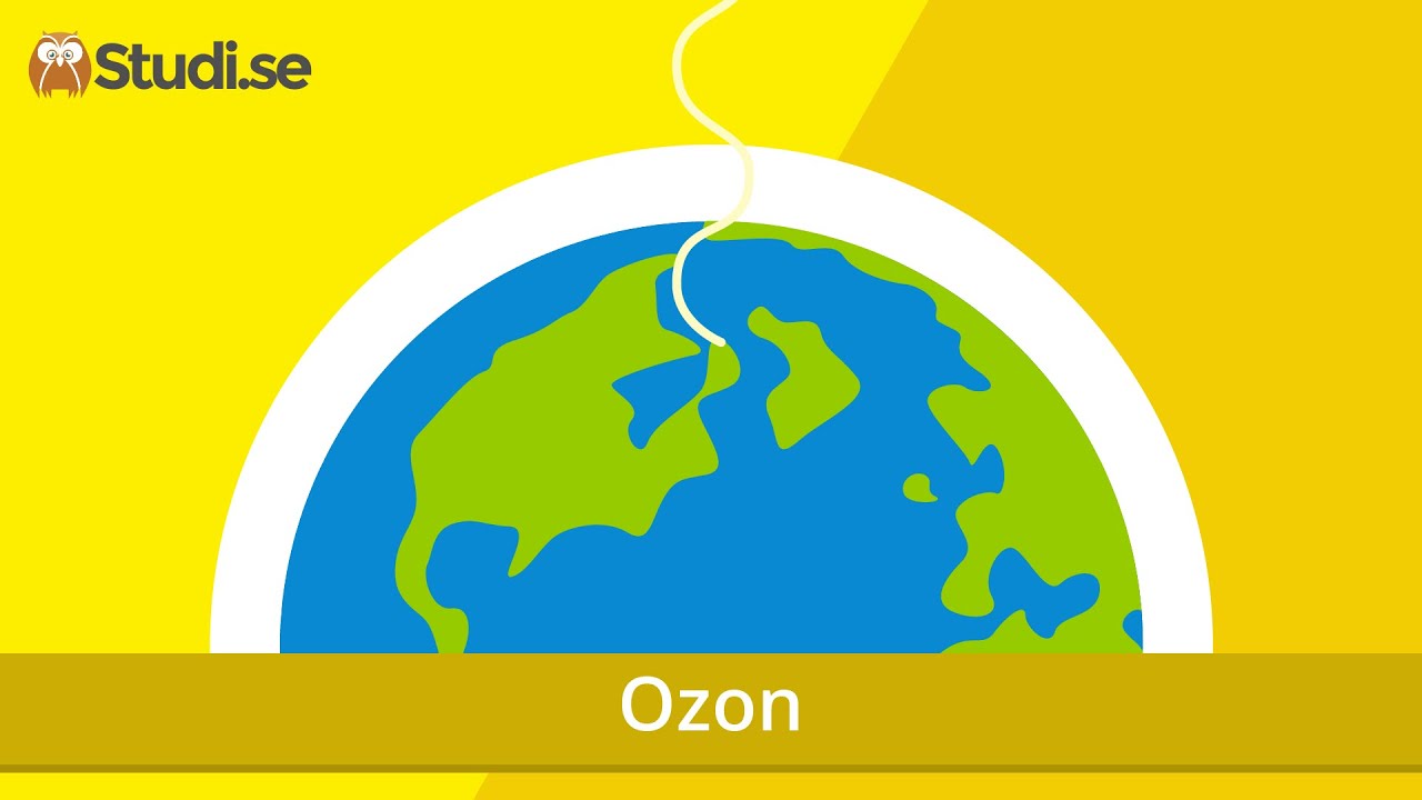 Ozon (Kemi) - www.binogi.se