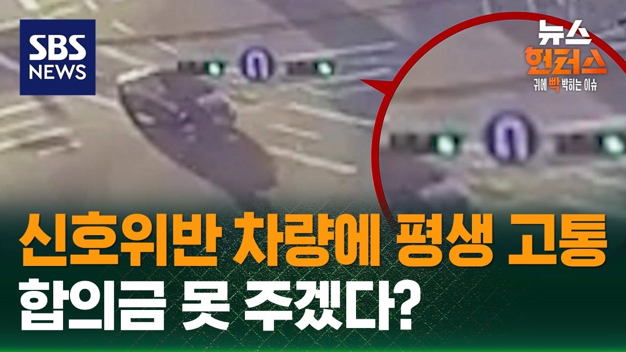 [사건X파일] 신호위반 차량에 평생 고통…합의금 못 주겠다? / SBS / 뉴스헌터스