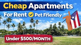 Cheap Apartments for Rent in Puerto Rico Under $500  | Pet Friendly | San Juan & Nearby