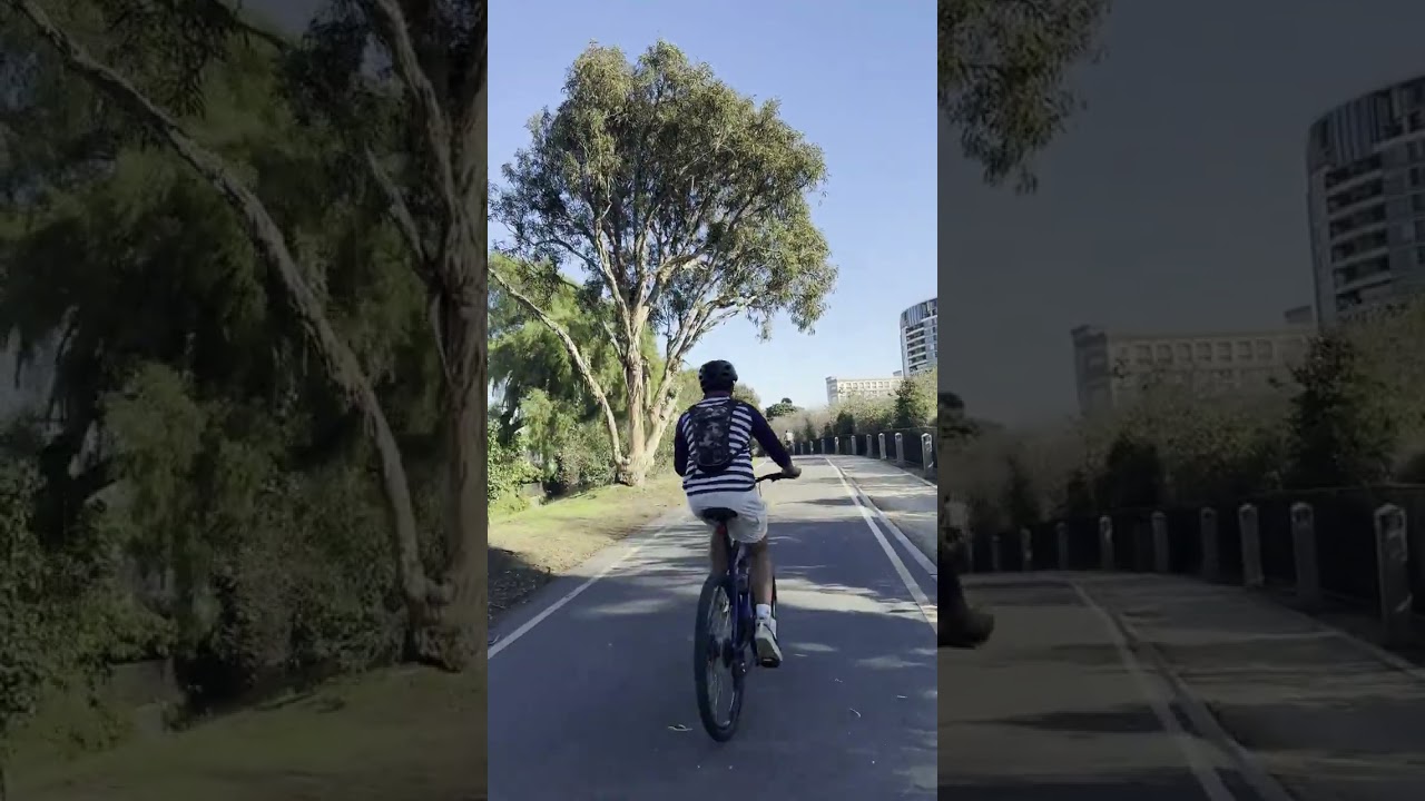 LA Bike Ride (Vertical Version) – Venice → Marina Del Rey → Playa Vista → Mar Vista