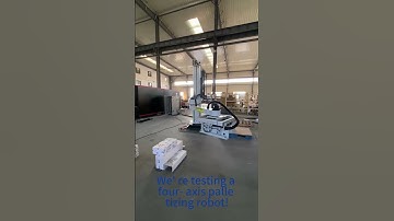 Revolutionize Your Production: The Ultimate Four - Axis Palletizing Machine in Action #palletizing
