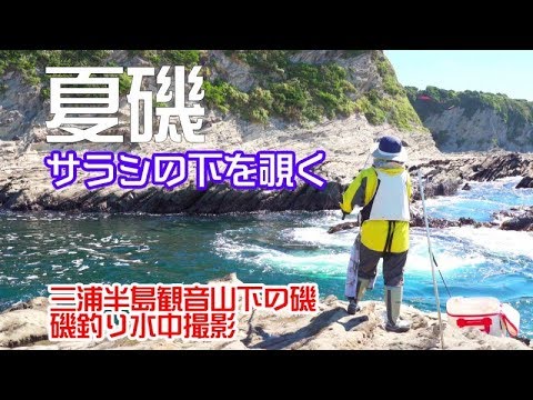 磯釣り 夏磯サラシの下を覗く 三浦半島観音山下の磯 水中撮影 Youtube