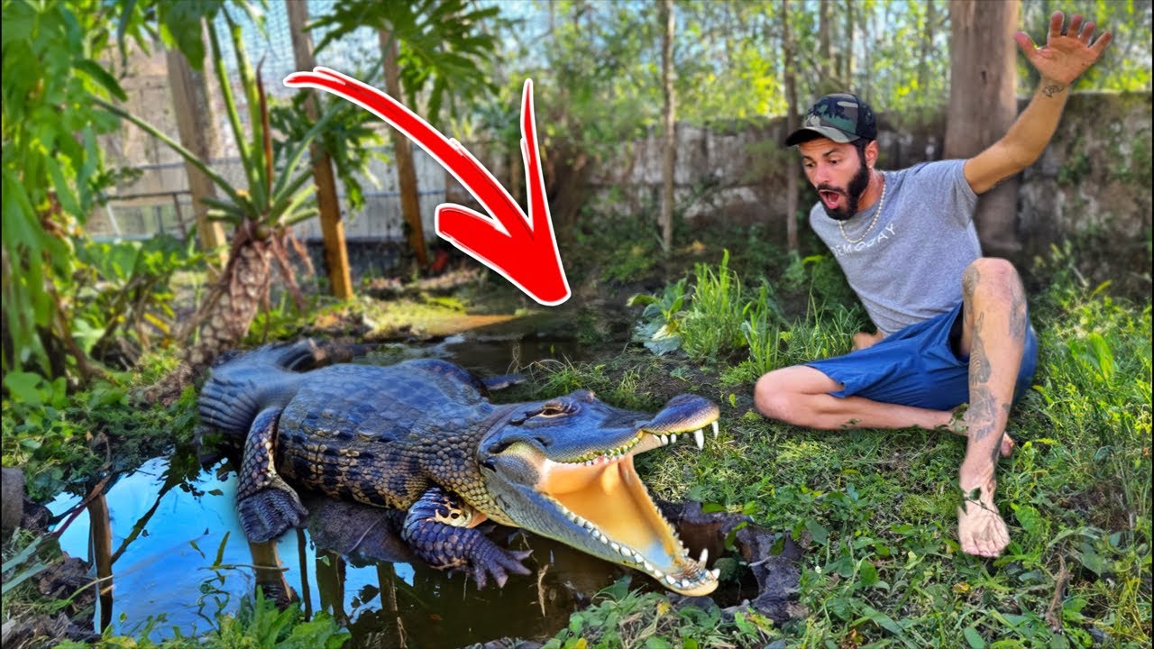 Cleaning My ALLIGATOR Pond! IRL