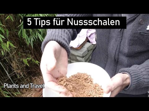 Video: Arten von Nussschalenmulch – Können Sie Nussschalen als Mulch in Gärten verwenden?