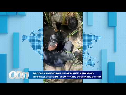 Drogas apreendidas entre Piauí e Maranhão; Entorpecentes foram encontrados em sítio 13 04 2026