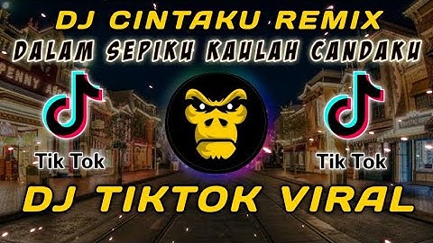 DJ CINTAKU RENDY ANDIKA REMIX - DJ DALAM SEPIKU KAULAH CANDAKU | DJ YANG SEDANG DICARI