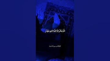 سورة القصص ❤️اكتب شيء تؤجر عليه 🥰