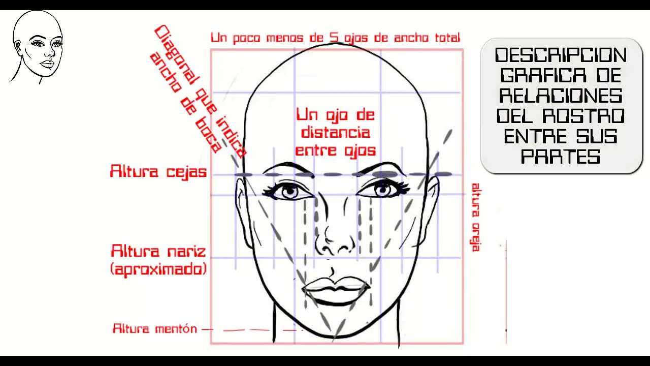 Descripcion Imagen Rostro Partes