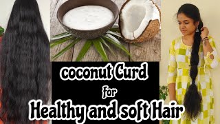 Homemade Coconut Milk Curd for Healthy and soft and shiny Hair in Tamil