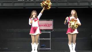 東北ゴールデンエンジェルス　20190923   2/2