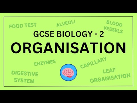GCSE Biology Topic