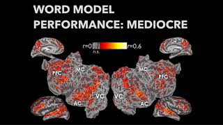 NIMH CMN Machine Learning Talk Series: Alex Huth 2019/07/30