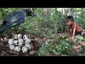Survival Skills Find Eggs Bird in the Wild - Cooking Eggs Bird for Food in Forest