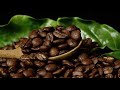 TIPOS DE CAFÉ ¿LOS CONOCES? VEN A ZACATLÁN DE LAS MANZANAS PUEBLA MÉXICO Y DISFRUTA AL MÁXIMO.