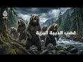 لمن البقاء هجمات الطبيعة في معركة المواجهة أم الفرار مع الدببة البرية 