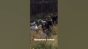 ВОЛКОБОЙ в RUST #rust #раст #растприколы #rustraid #rustgame #klyowa #выживалово