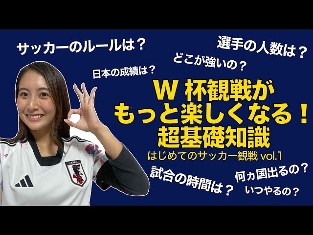 中古】 ワールドサッカー国別観戦ガイド 選手＆戦術はやわかり