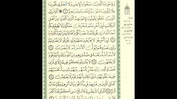الورد اليومى سورة الحشر من الاية 10 الى الاية 16 بصوت القارئ الشيخ ماهر المعيقلى #ماهر_المعيقلي