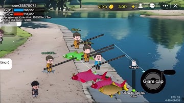 Câu cá vạn cân | tập 1 | khởi đầu 