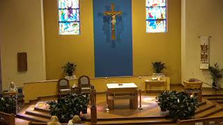 Daily Mass June 15, 2026