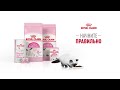 Royal Canin Kitten - Рекламный Ролик
