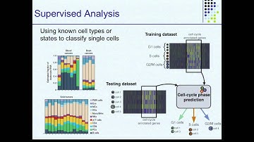 Algorithms for Single Cell RNAseq Analysis