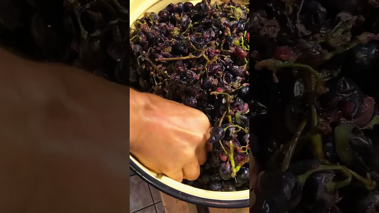 Виноградный сок без соковыжималки просто!