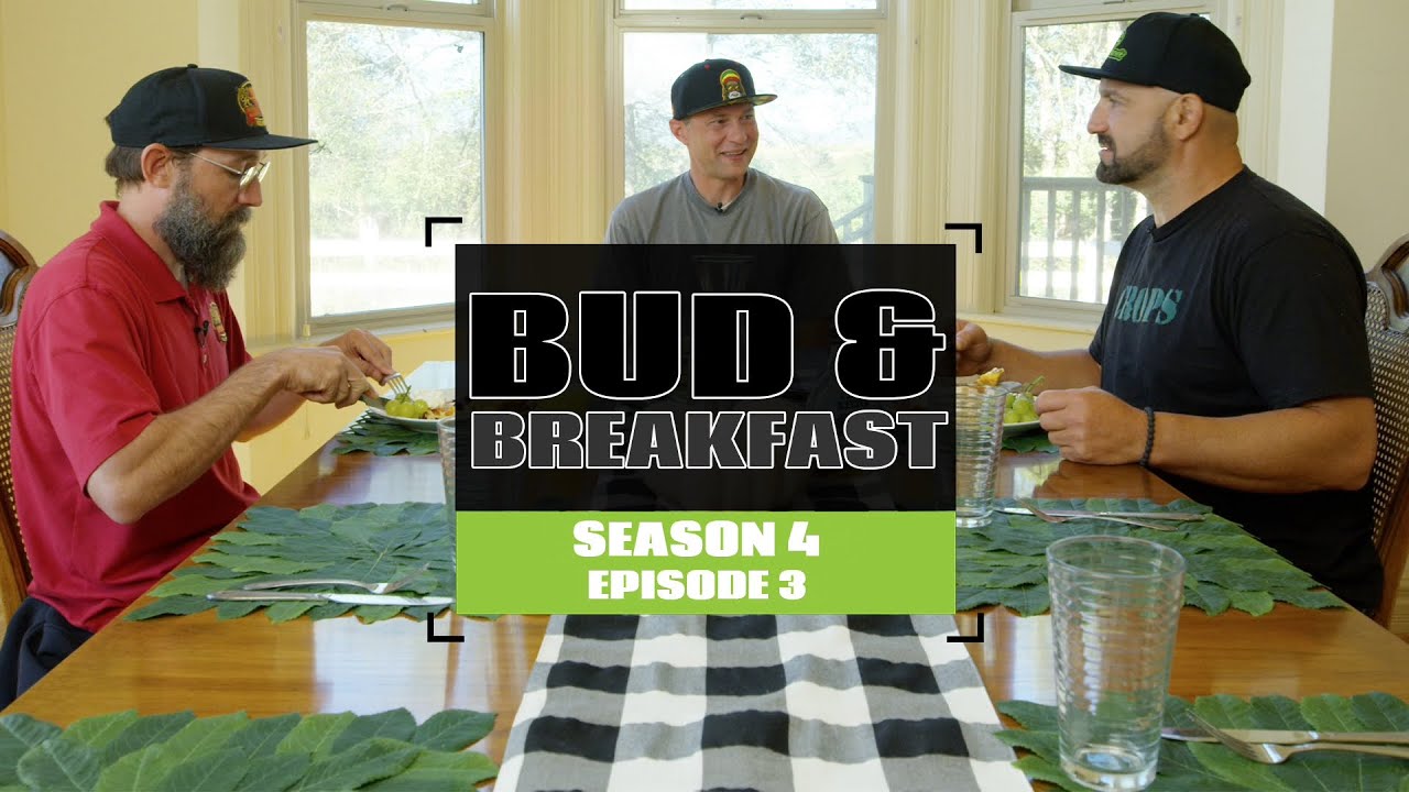 S4 EP3 California's First Bud And Breakfast!