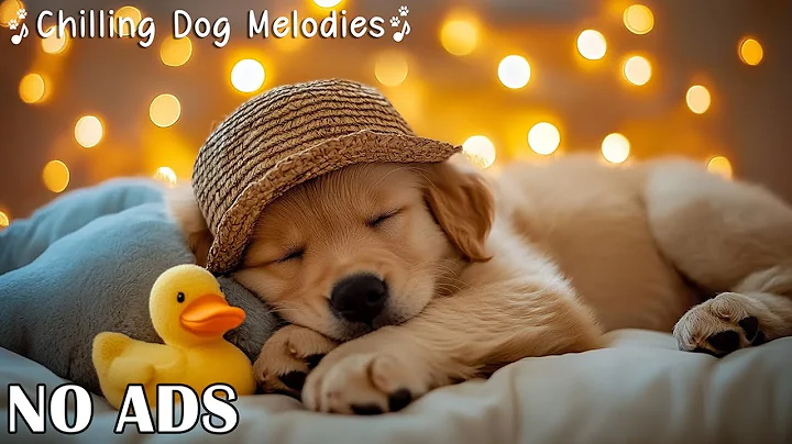 Dog Calming Music for Sweet Dreams 🐾💕 Soothing Sleep Sounds ✨ Separation Anxiety Relief