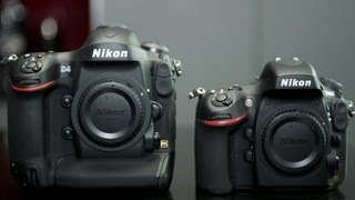 The D4 vs D800 dilemma