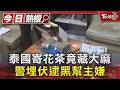 泰國寄花茶竟藏大麻 警埋伏逮黑幫主嫌｜TVBS新聞 @TVBSNEWS01