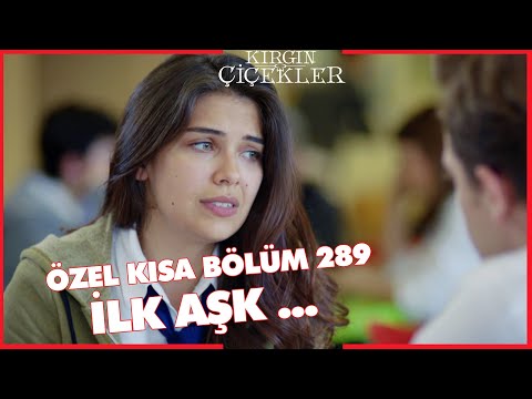 Kırgın Çiçekler Özel Kısa Bölümler | 289