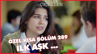 Kırgın Çiçekler Özel Kısa Bölümler | 289